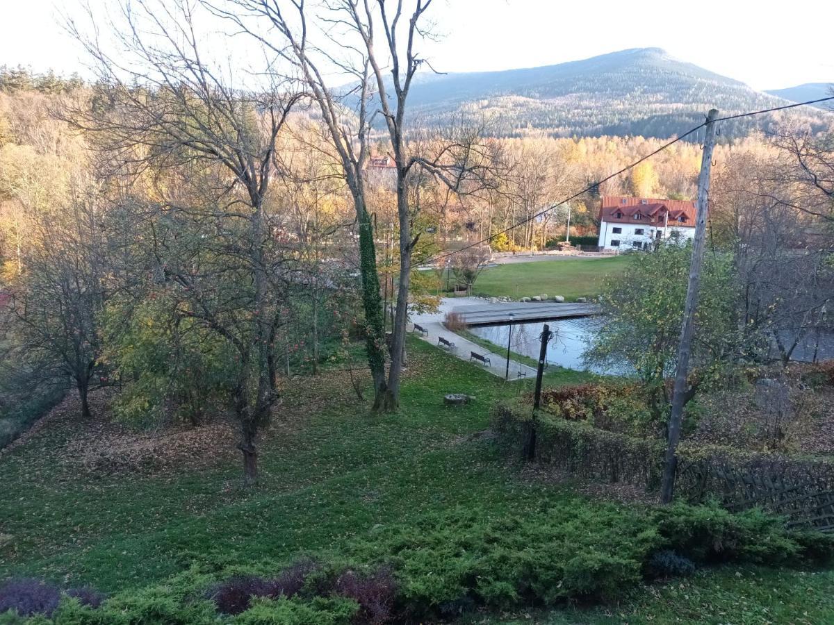 Guest house Marcela Karpacz